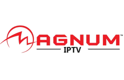 Logo Magnum OTT